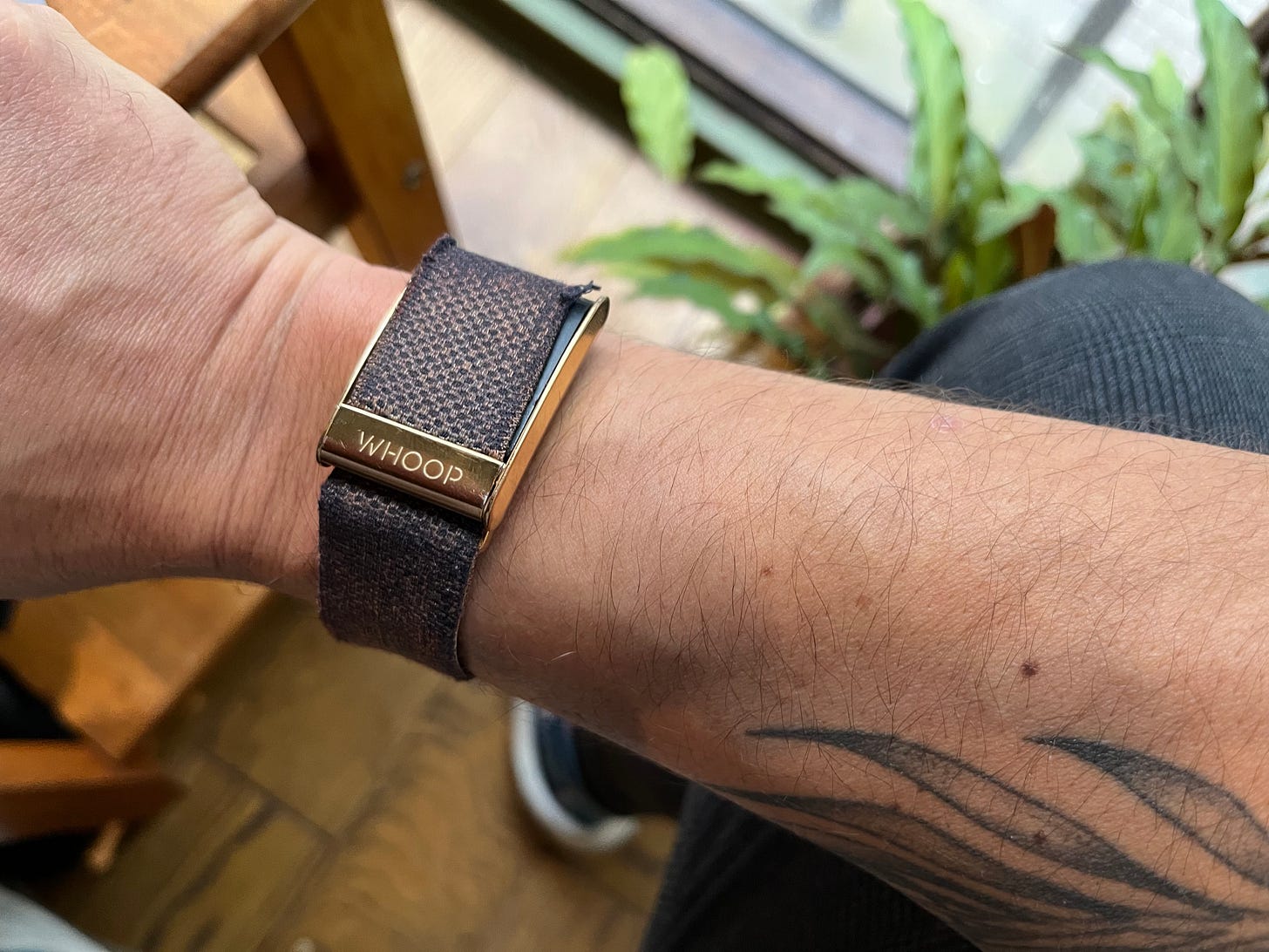 Filip's Whoop band - four years of wearable data tracking