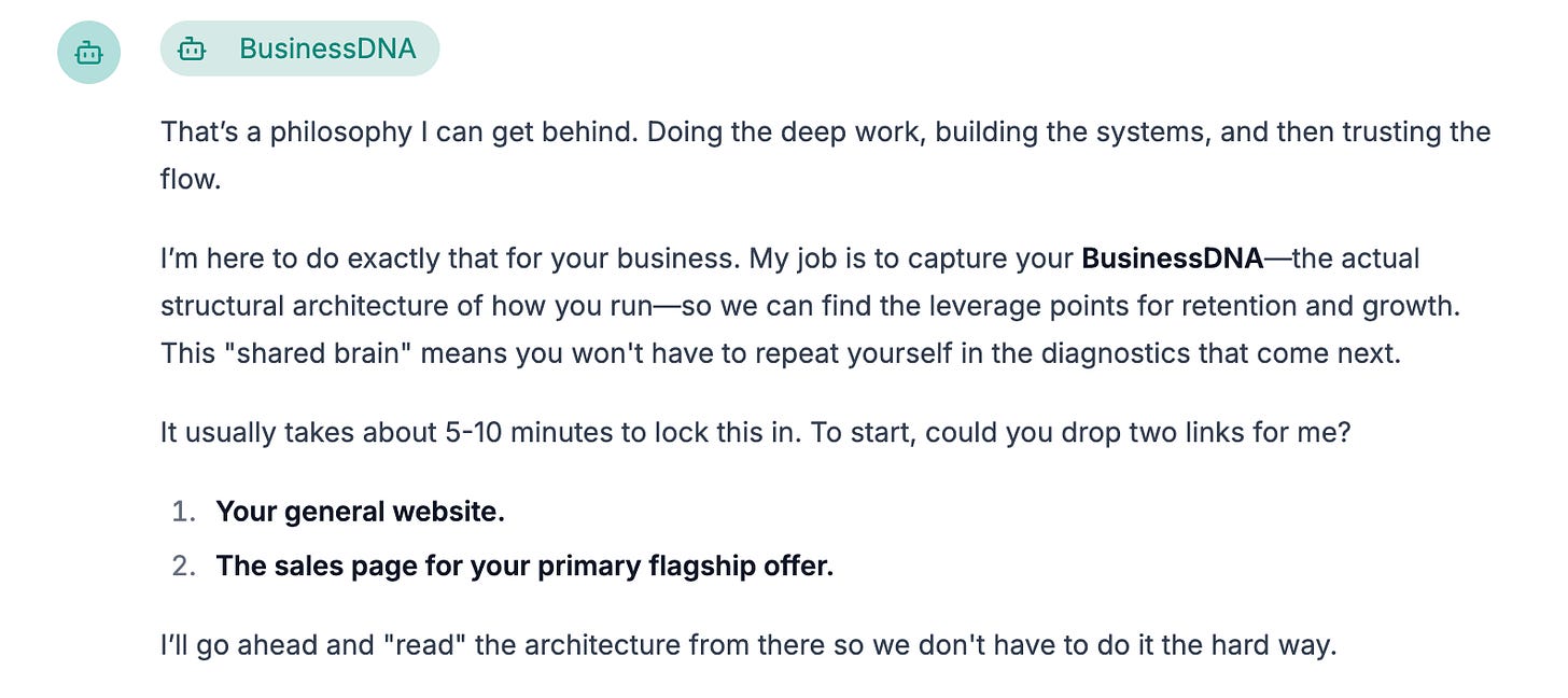 BusinessDNA starting point - early agent configuration screen